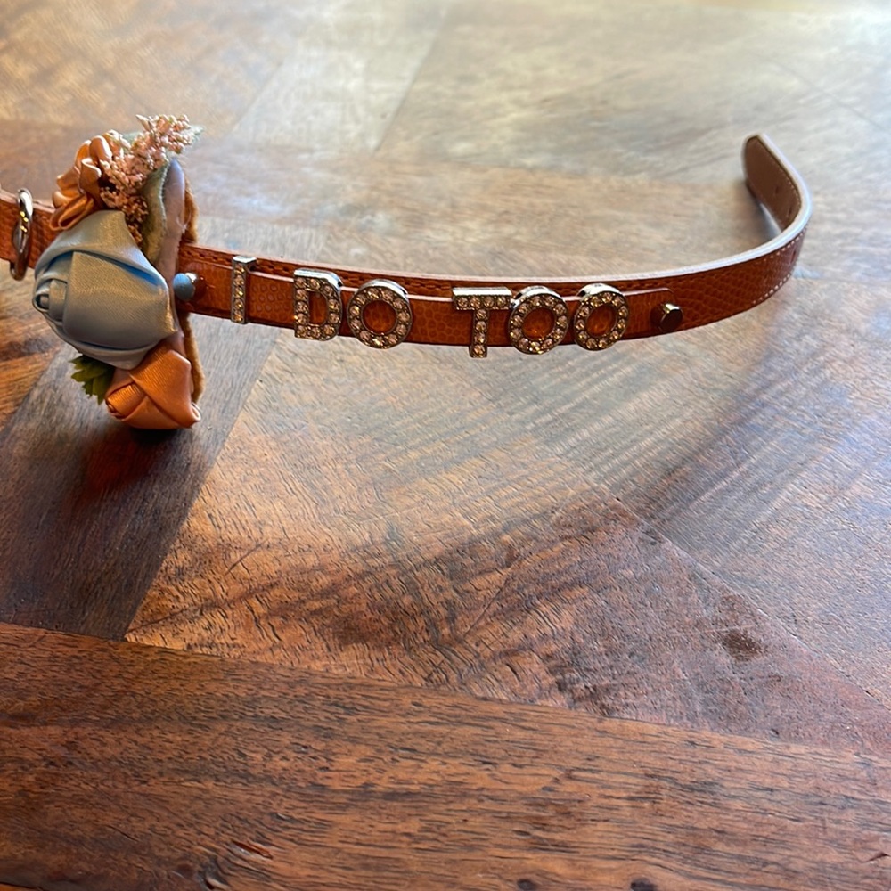 Wedding dog collar